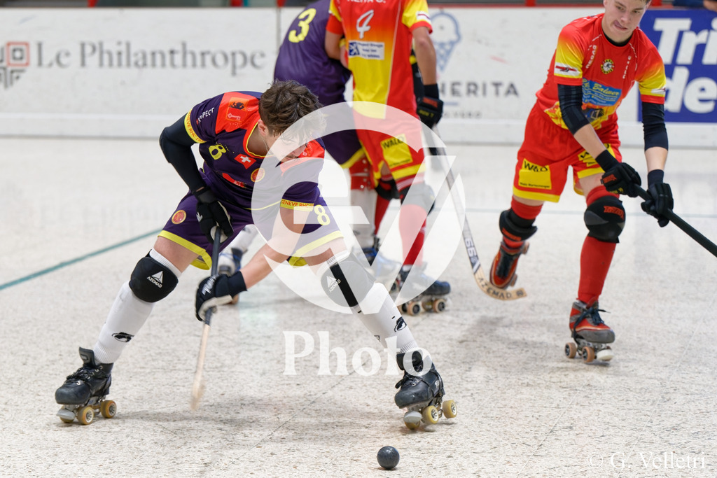 DSC_6586 | Velletri Photo