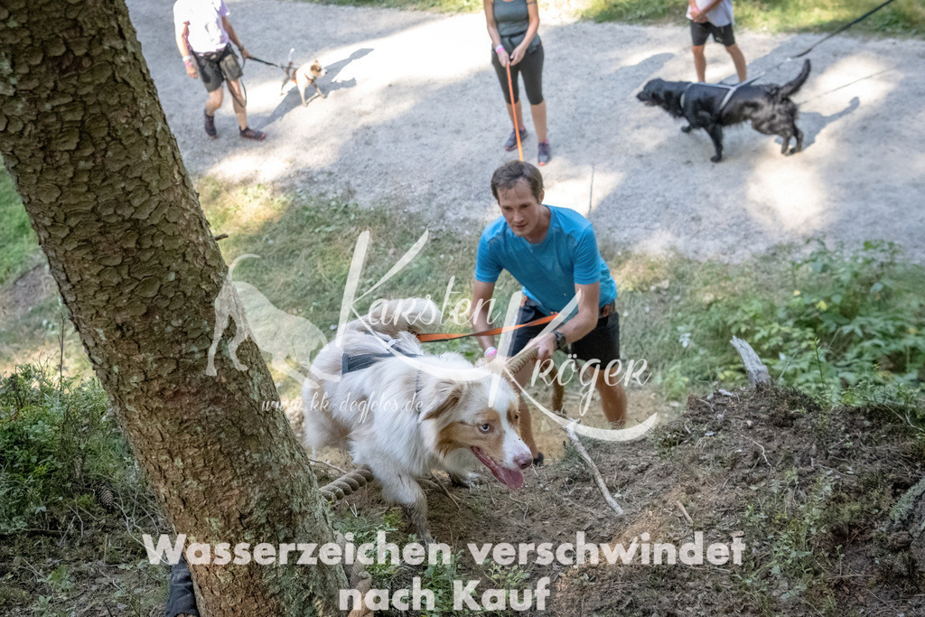 1214_ZZ93562 | kk-dogfotos