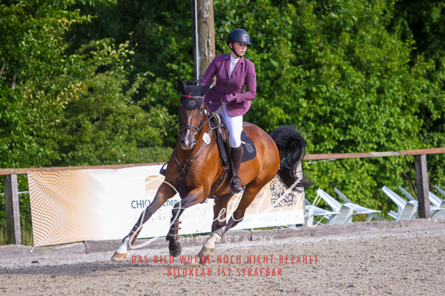 DKP43926 | Turniersportfotografie; Pferdefotografie; Dressurfotografie