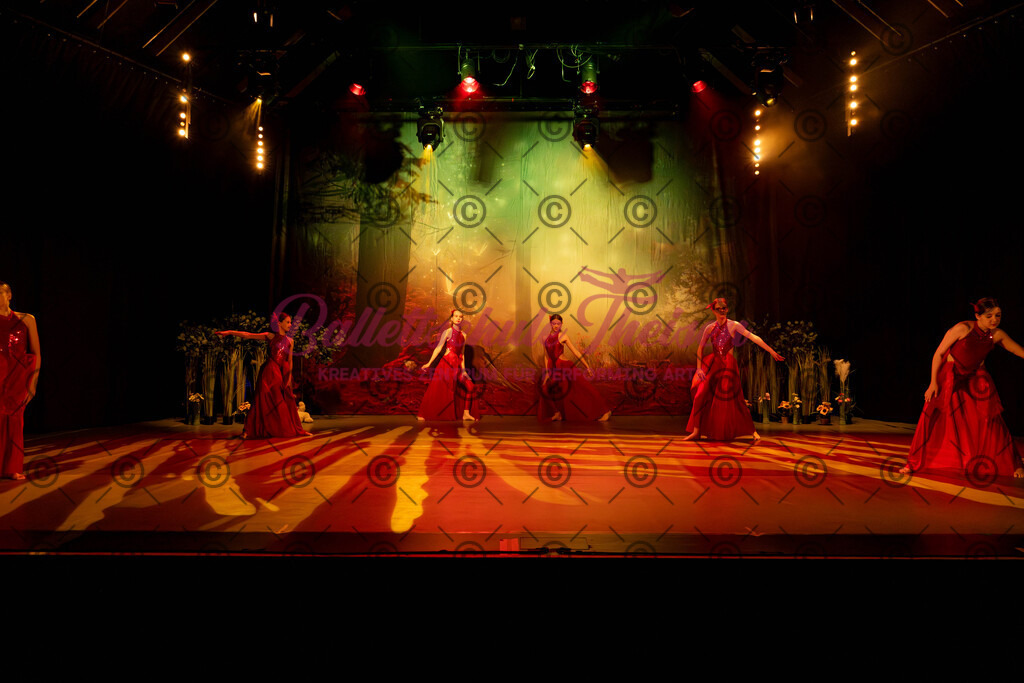 Ballettaufführung-191 | Bildershop Lem'n Entertainment - Realisiert mit Pictrs.com