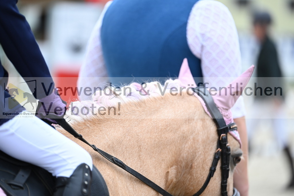 DSC_5286 | equestrian-live-com