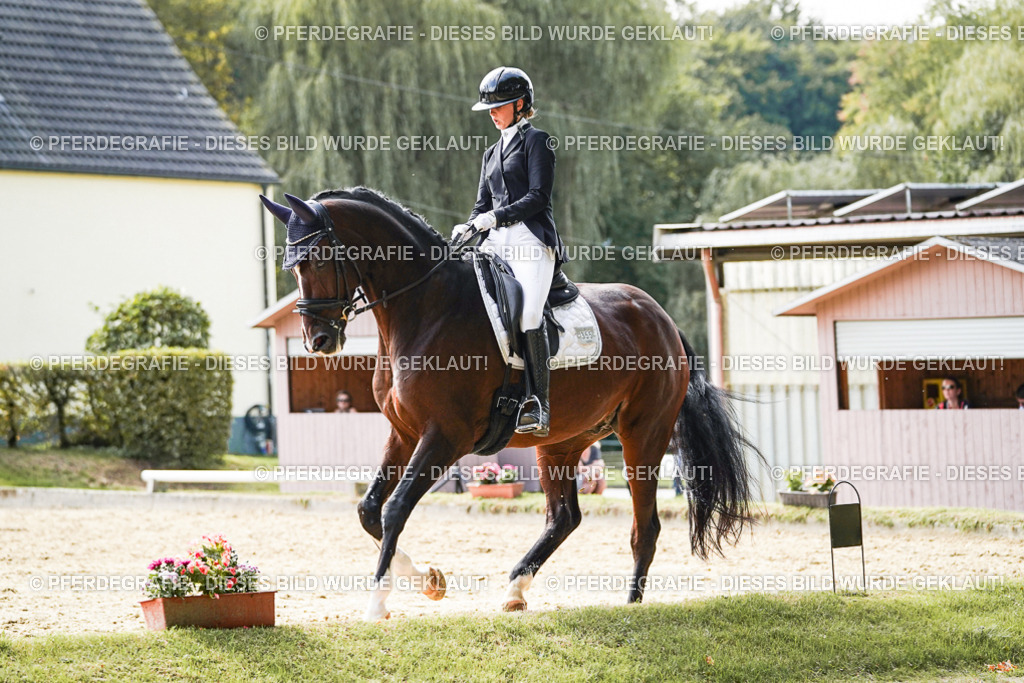 DSC08911 | Pferdegrafie