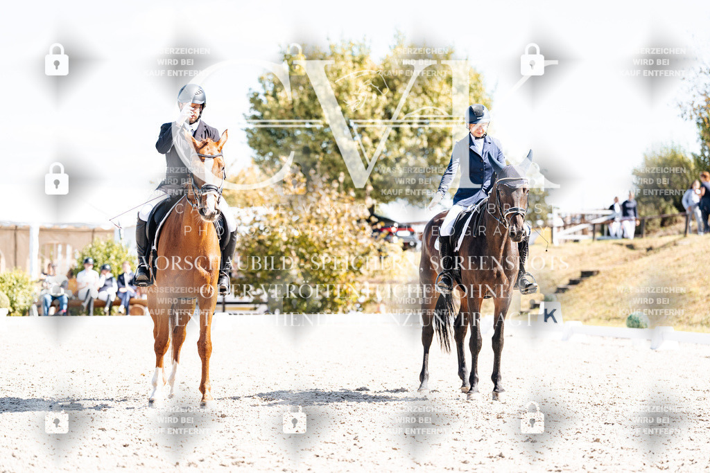 CK903377 | Turnierfotografie Pferdefotografie Trier Rheinland-Pfalz Pferdesport Reitsport Tierfotografie Sportfotografie Pferdevideo Pferdevideografie Equestrianvideography equestrianphotography  - Realisiert mit Pictrs.com