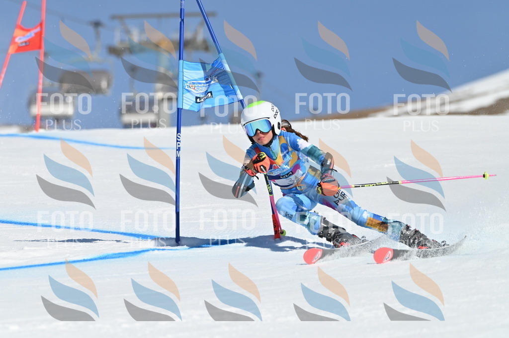 BGV_7617 | holidayphoto