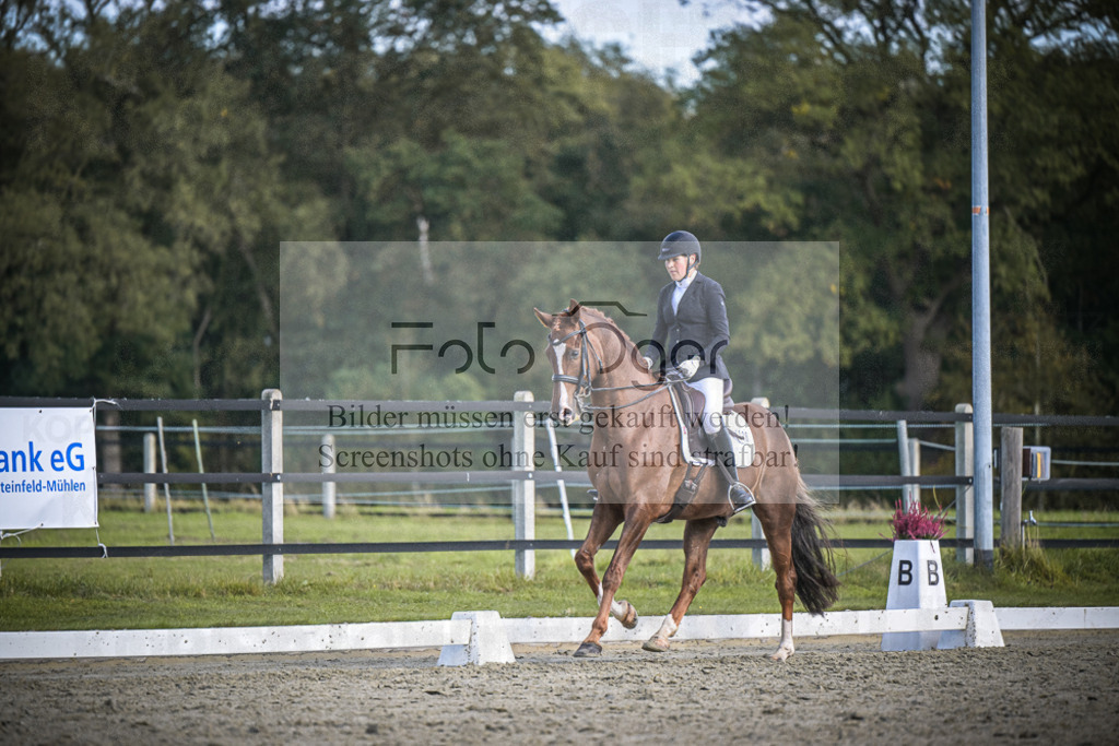 DOS_3777 | Entdecke hochwertige Reitturnierfotos von Foto Oger. Professionell, emotional und authentisch – jetzt Lieblingsmomente im Shop bestellen.Deutschlandweite Turnierfotografie. - Realisiert mit Pictrs.com