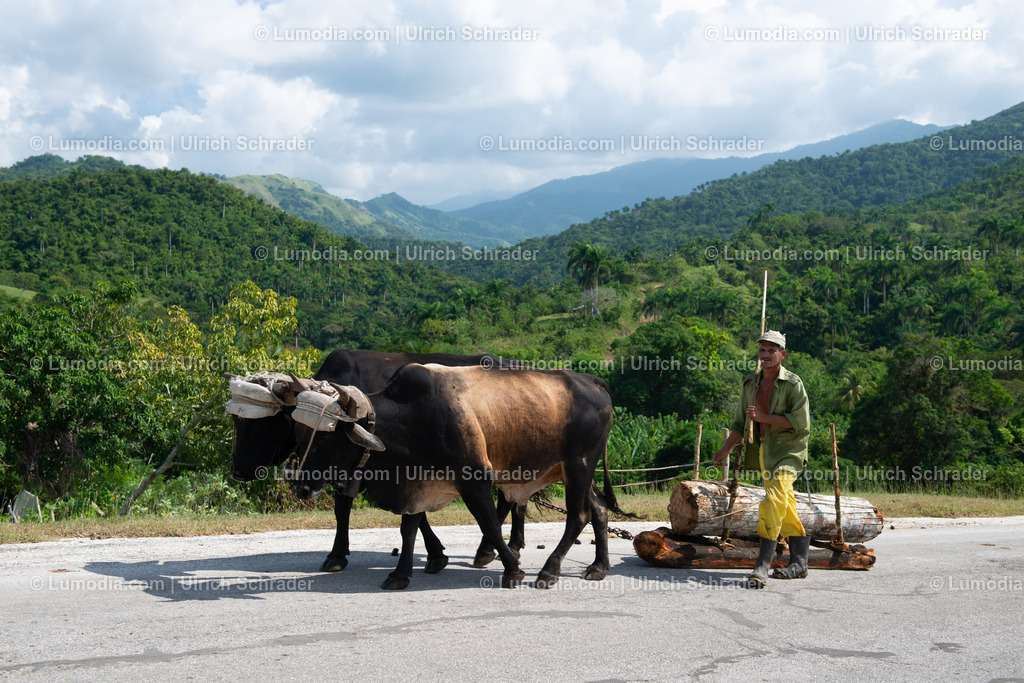 202510-106 | Stockfoto und Bilderpool mit Bildmaterial aus Deutschland, dem Harz, Halberstadt, Quedlinburg, Wernigerode und weltweit. Qualitativ hochwertige und professionelle Fotos anschauen und kaufen. - Realisiert mit Pictrs.com