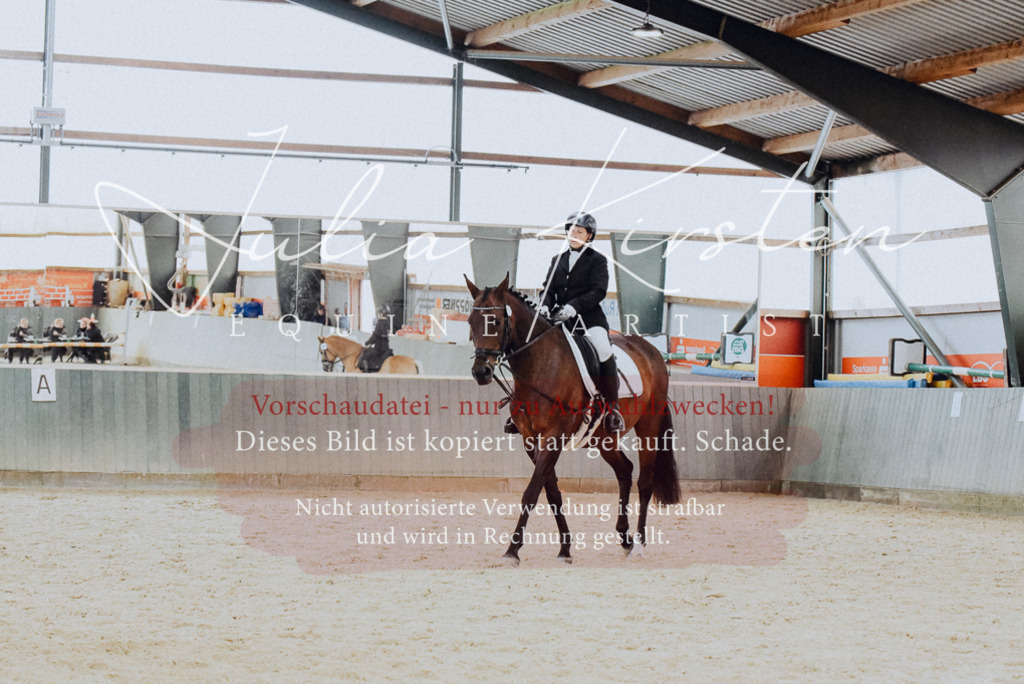 DSC_7347 | Pferde- und Turnierfotografie in Westsachsen. Pferdeportraits, Auftragszeichnungen und intuitive Kunst.