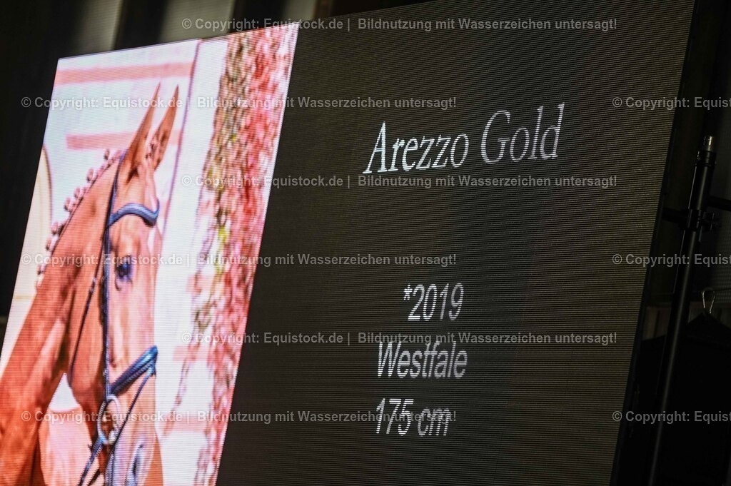 20260307_Hengstvorstellung-Marbach_0146 | equistock