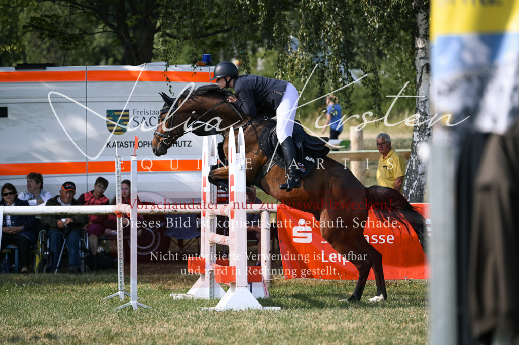 DSC_1446 | Pferde- und Turnierfotografie in Westsachsen. Pferdeportraits, Auftragszeichnungen und intuitive Kunst.