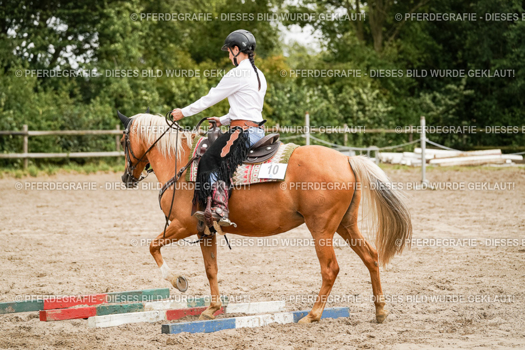 DSC00217 | Pferdegrafie