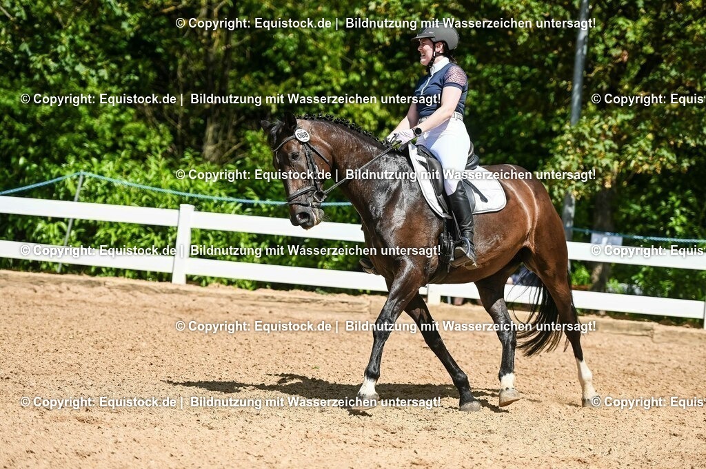 20230715_02_Dressurreiterprüfung Kl.L_0119 | equistock