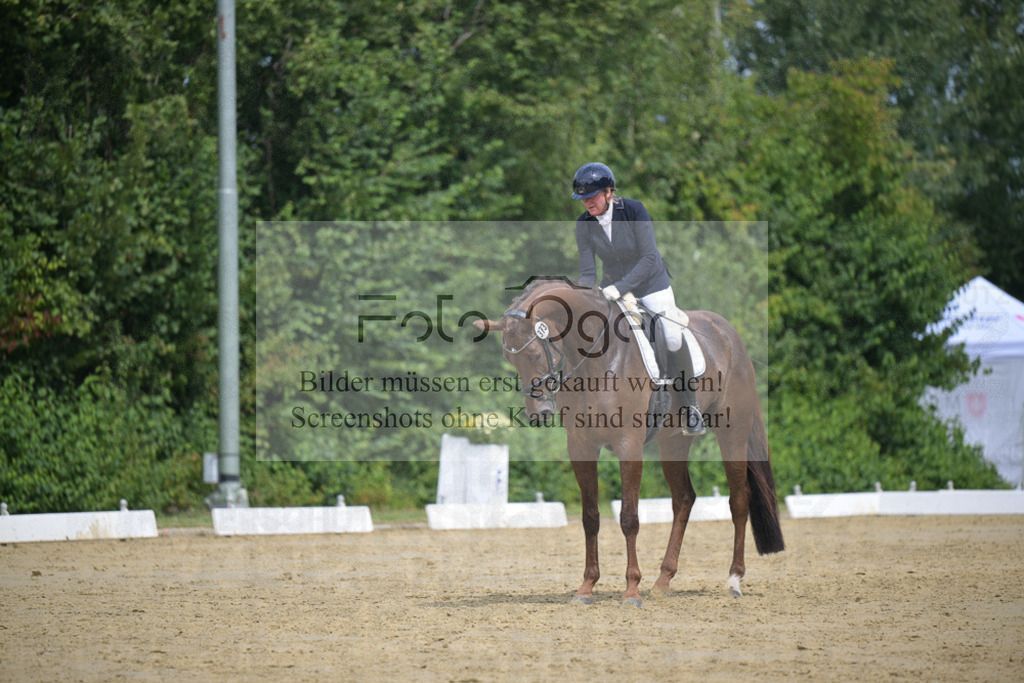 DOS_0225 | Entdecke hochwertige Reitturnierfotos von Foto Oger. Professionell, emotional und authentisch – jetzt Lieblingsmomente im Shop bestellen.Deutschlandweite Turnierfotografie. - Realisiert mit Pictrs.com