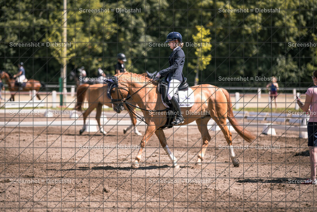 _W6A5801 | ronjaprokoschfotografie - Realisiert mit Pictrs.com