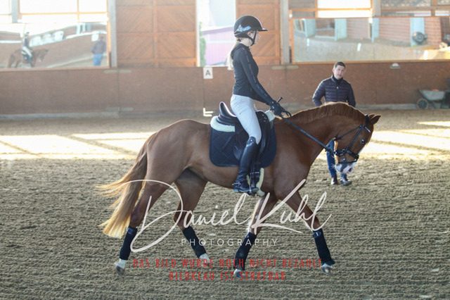 DKP42151 | Turniersportfotografie; Pferdefotografie; Dressurfotografie