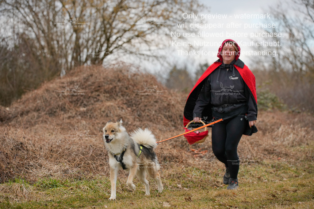 Fasching-67 | stephaniefillaphotographie - Realisiert mit Pictrs.com