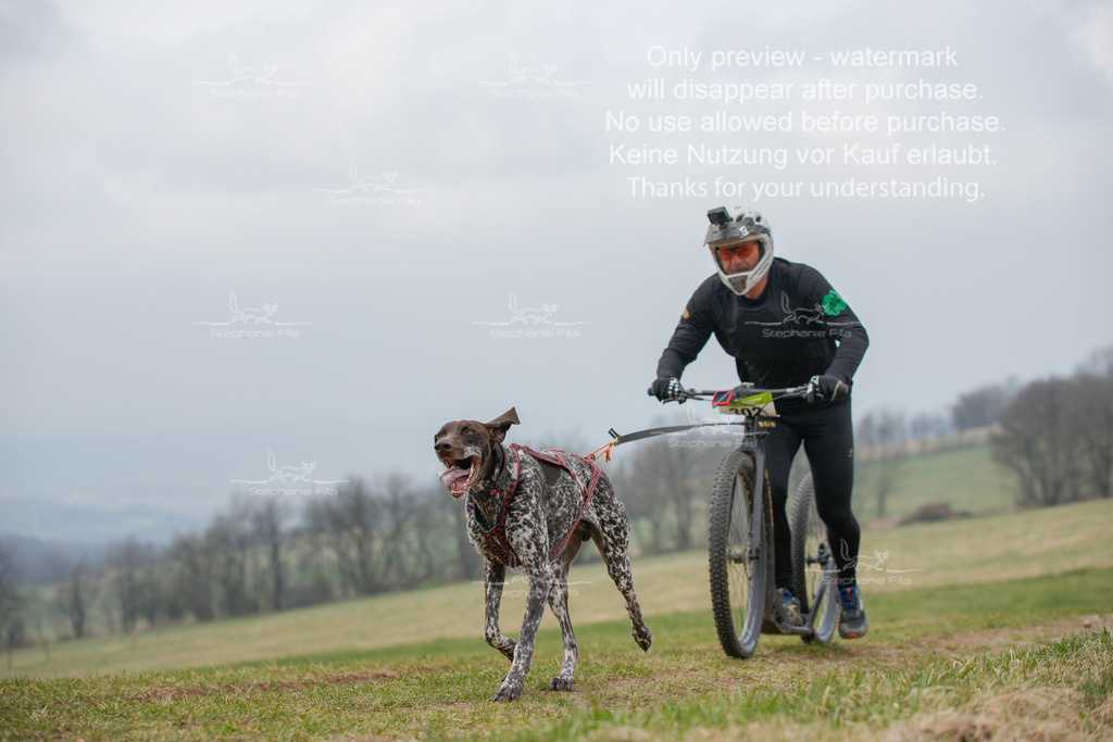 ScooterSA-9 | stephaniefillaphotographie - Realisiert mit Pictrs.com