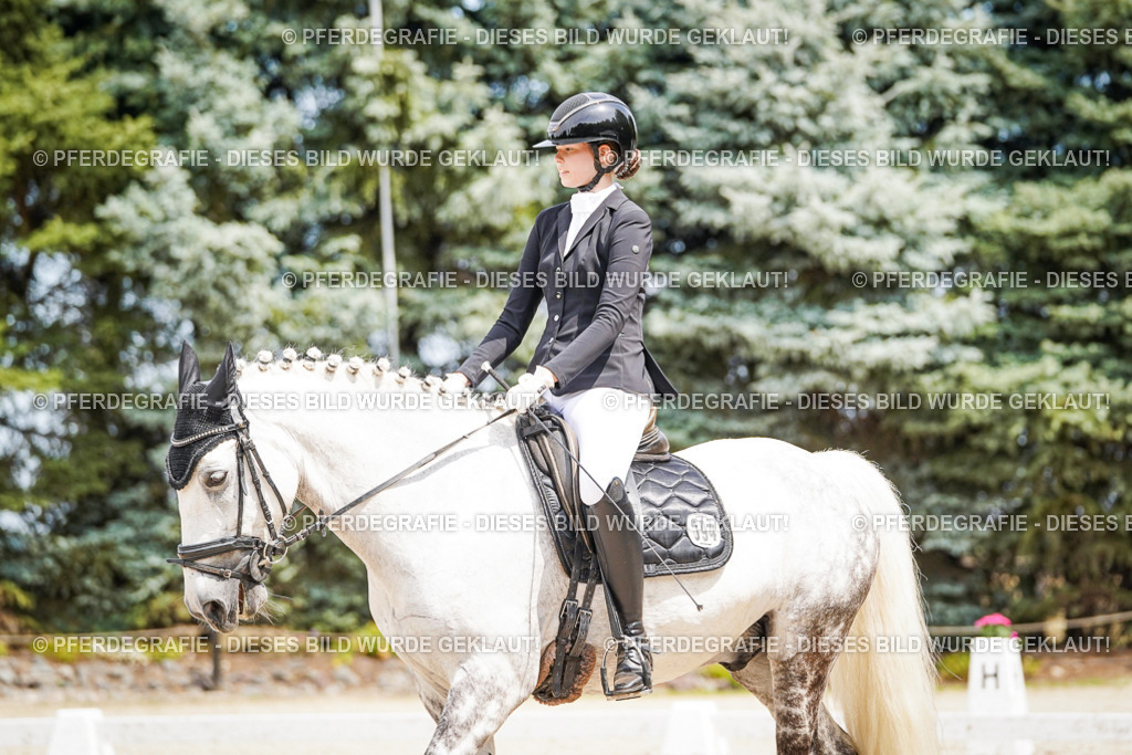 DSC03451 | Pferdegrafie