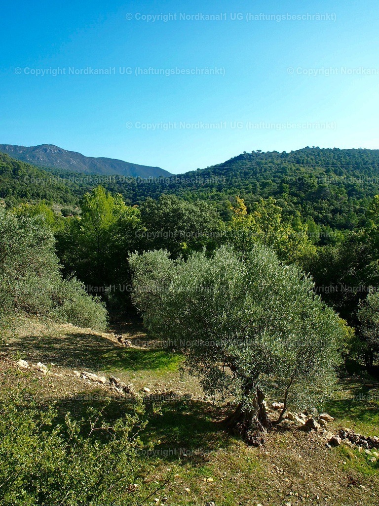 PA272112-1 | OLYMPUS DIGITAL CAMERA          - Realisiert mit Pictrs.com