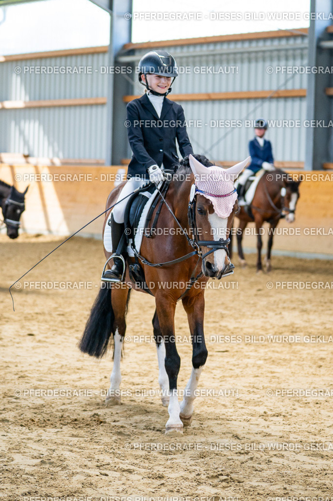 DSC01149 | Pferdegrafie