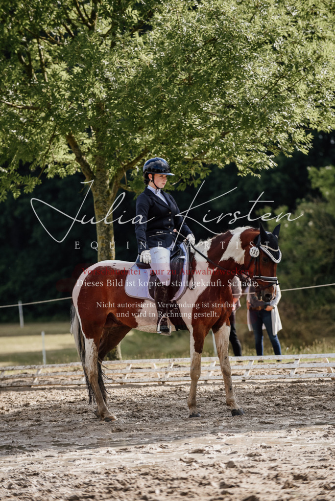 DSC_8822 | Pferde- und Turnierfotografie in Westsachsen. Pferdeportraits, Auftragszeichnungen und intuitive Kunst.