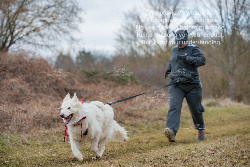 Fasching-36 | stephaniefillaphotographie - Realisiert mit Pictrs.com