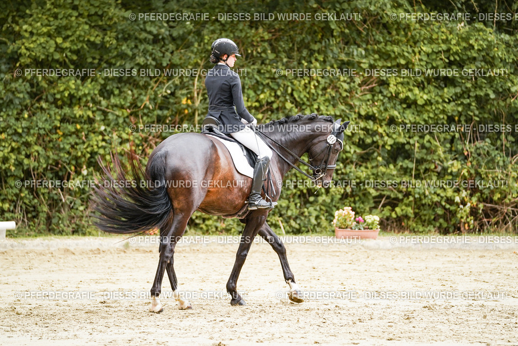 DSC03920 | Pferdegrafie