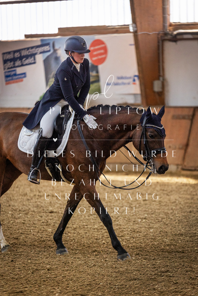 IMGT4059 | pl-fotografie