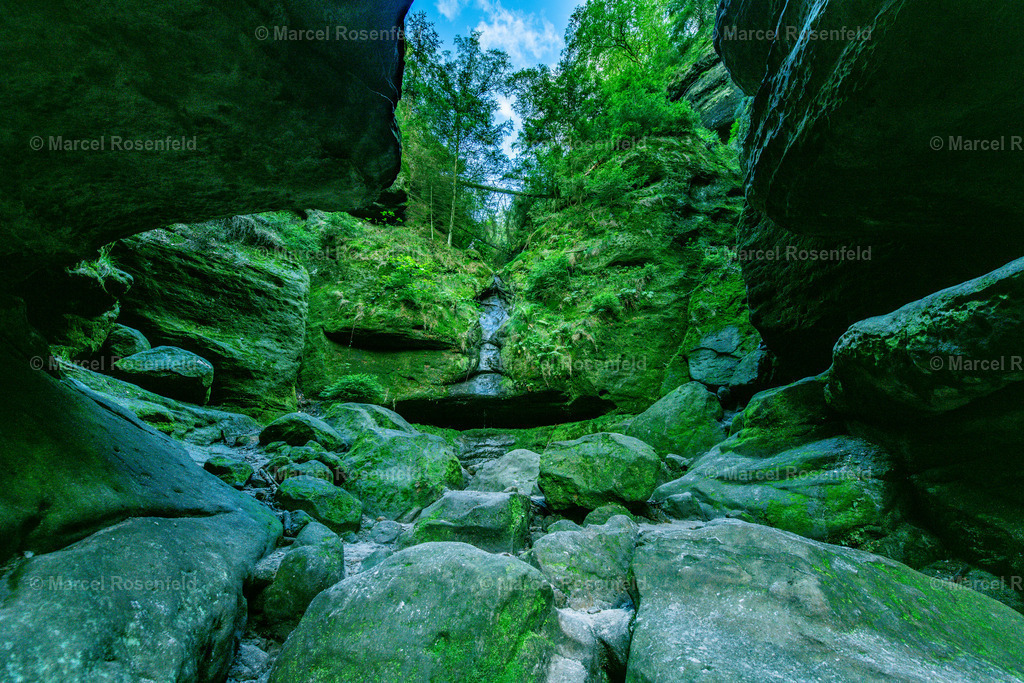 _DSC7373 | foto-rosenfeld