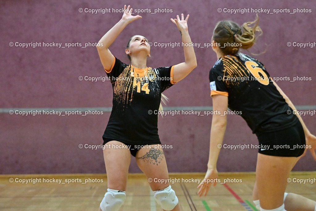 ASKÖ Volley Eagles vs. SSV HIB Volley 21.1.2024 | #14 Elwira CEHIC, #6 Zuzana Emma PREININGER