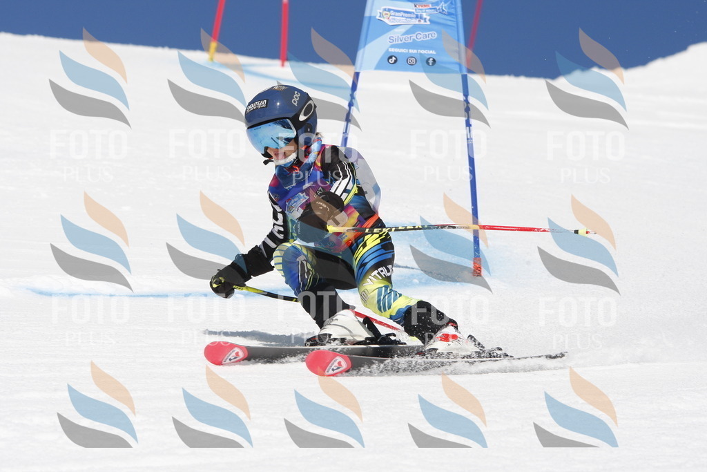 _W1G1982 | holidayphoto