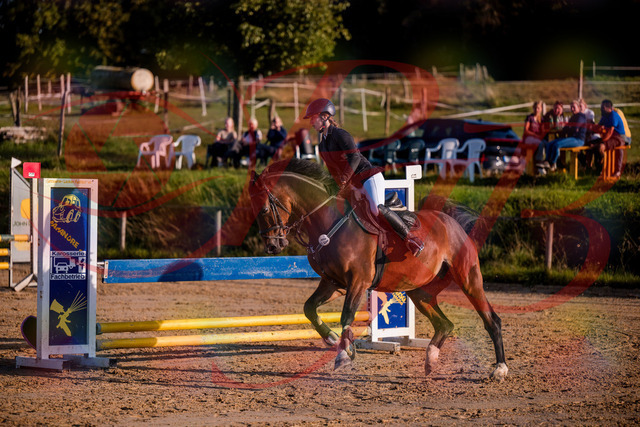 2026_10_03_Siefer-Hof_171023_Z81_07067845 | Professionelle Reitsport-, Turnier- und Eventfotografie von Robert Broda. Galerien mit ausgewählten und bearbeiteten Bildern direkt online ansehen und bestellen.