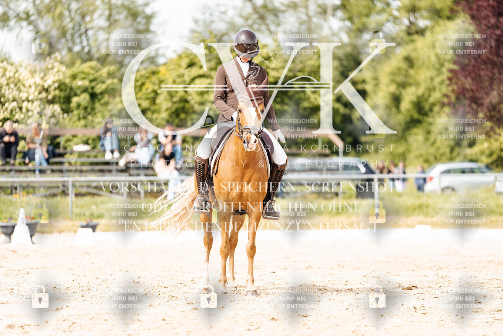 CK901365 | Turnierfotografie Pferdefotografie Trier Rheinland-Pfalz Pferdesport Reitsport Tierfotografie Sportfotografie Pferdevideo Pferdevideografie Equestrianvideography equestrianphotography  - Realisiert mit Pictrs.com