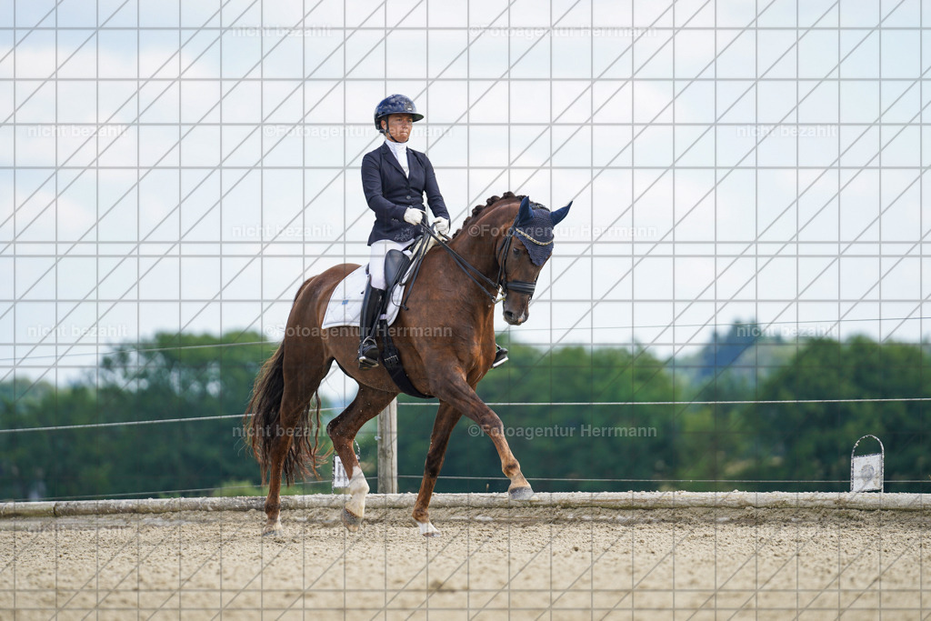 20230826-FAH05800 | Forstinning, 2023, Dressurturnier, Turniersportbilder, Turnierfotografen Bayern, Fotoagentur Herrmann, Reitsportfotografie, Turnierbilder