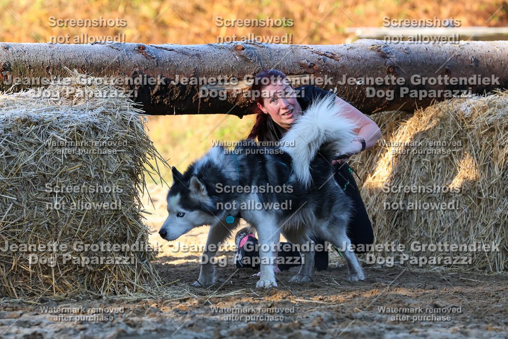 Dog Paparazzi - Strongdog 10-25-672 | Dog Paparazzi Jeanette Grottendiek Fotografie & Videografie - Realisiert mit Pictrs.com