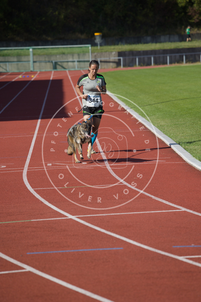 0L8A9156 | Hundefotografie, Tierfotograf, Pfotenfotografie, Fotoshooting Hund, Hunde Portrait, Hundesport, Hundeportraits, Heideshooting, Hunde, Sportfotograf, Hundefotograf, Turnierhundsport, THS,  - Realisiert mit Pictrs.com