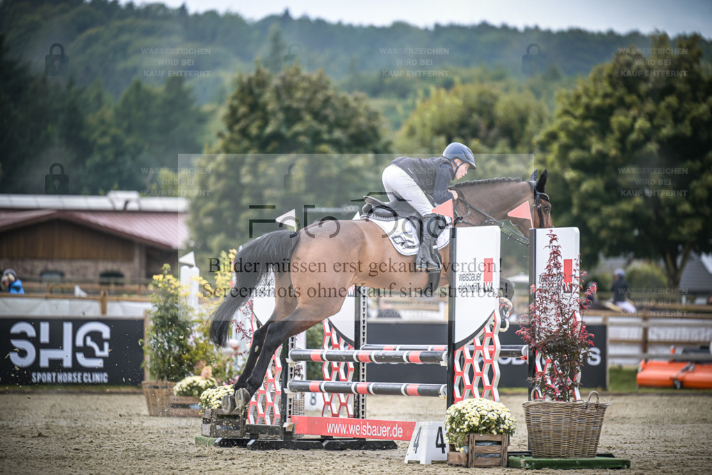 DOS_0308 | Entdecke hochwertige Reitturnierfotos von Foto Oger. Professionell, emotional und authentisch – jetzt Lieblingsmomente im Shop bestellen. - Realisiert mit Pictrs.com