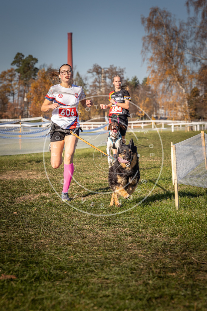 CaniXpix_0L8A8583 | Hundefotografie, Tierfotograf, Pfotenfotografie, Fotoshooting Hund, Hunde Portrait, Hundesport, Hundeportraits, Heideshooting, Hunde, Sportfotograf, Hundefotograf, Turnierhundsport, THS,  - Realisiert mit Pictrs.com