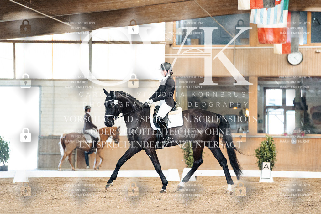 CK900674 | Turnierfotografie Pferdefotografie Trier Rheinland-Pfalz Pferdesport Reitsport Tierfotografie Sportfotografie Pferdevideo Pferdevideografie Equestrianvideography equestrianphotography  - Realisiert mit Pictrs.com