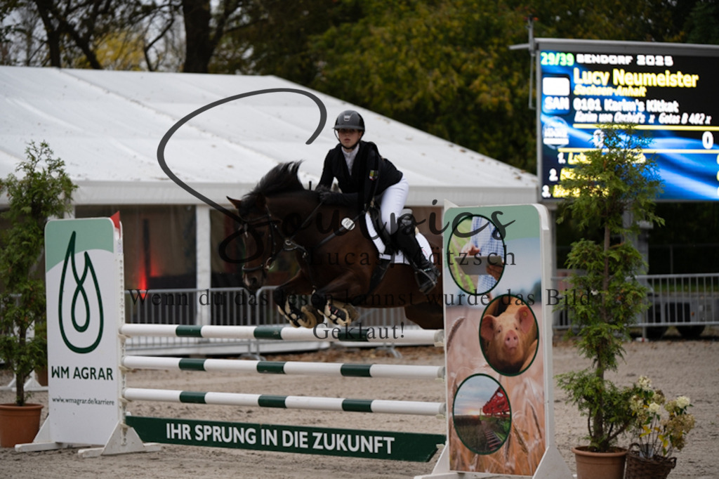 A7V00072 | Pferdefotograf