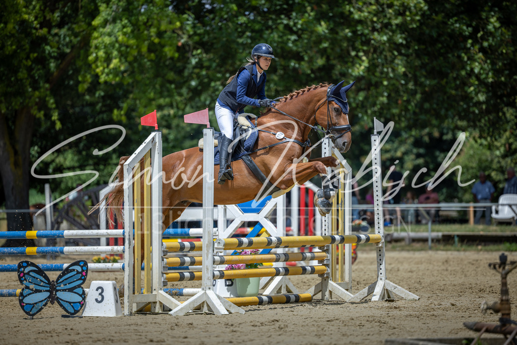 20260704-_3LI8915 | Tierfotografie Pferde, Hunde, Katzen, Haustiere.
Turnierfotografie Reitturniere, Reiten, Springreiten, Dressur in Hanau, dem Main-Kinzig-Kreis und dem Rhein-Main- Gebiet um Frankfurt