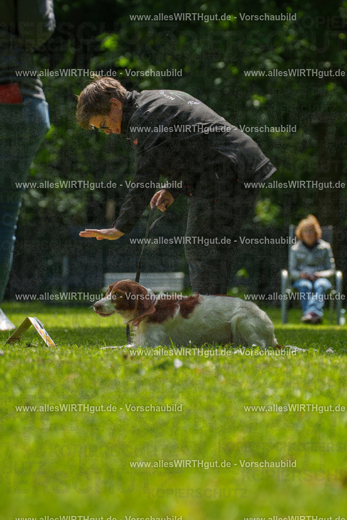 @allesWIRTHgut_Tierfotografie - www.allesWIRTHgut.de - 7R505754 | Professionelle Tierfotografie in Mönchengladbach von Daniel Wirth (allesWIRTHgut). Liebevolle & natürliche Bilder von Hunden & Katzen für unvergessliche Erinnerungen.