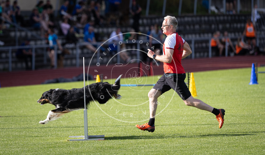 Pfotenfotografie_DV3A2302 | Hundefotografie, Tierfotograf, Pfotenfotografie, Fotoshooting Hund, Hunde Portrait, Hundesport, Hundeportraits, Heideshooting, Hunde, Sportfotograf, Hundefotograf, Turnierhundsport, THS,  - Realisiert mit Pictrs.com