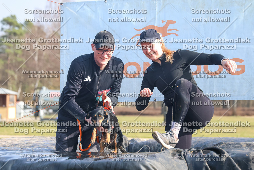 Dog Paparazzi - Strongdog North Mrz26-2047 | Dog Paparazzi Jeanette Grottendiek Fotografie & Videografie - Realisiert mit Pictrs.com