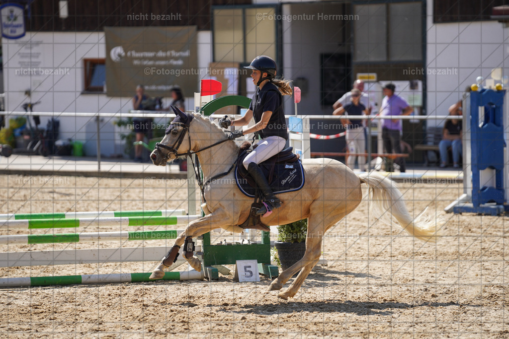 20240824-FAH08054 | Thierhaupten 2024, Bayerisches Landesponyturnier, Turnierbilder, Ponybilder, Turnierfotografen Bayern, Fotoagentur Herrmann
