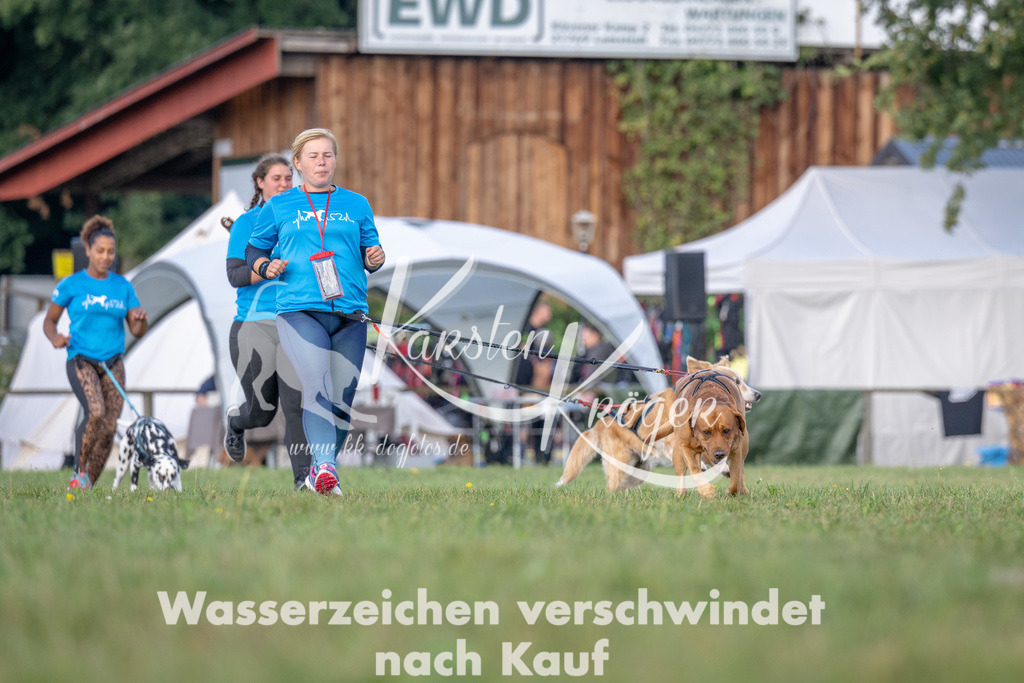 1013_ZZ91812 | kk-dogfotos