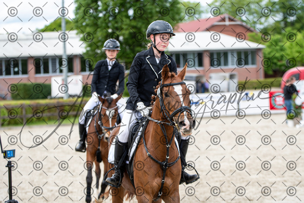 KPT_5932 | andre_photographic