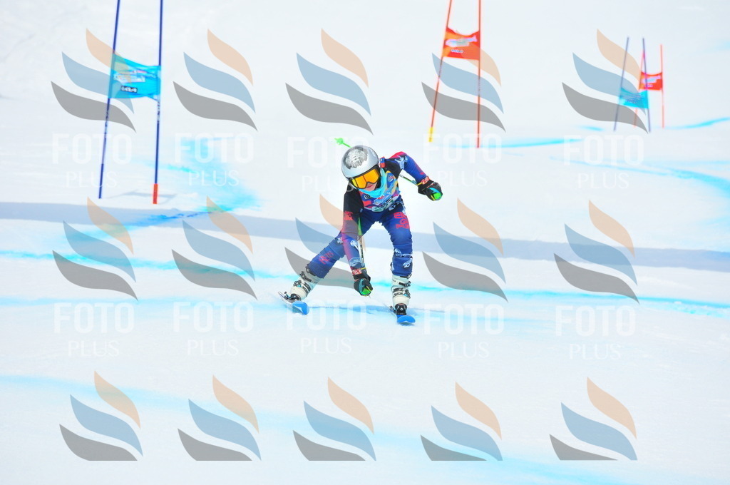 DSC_2043 | holidayphoto