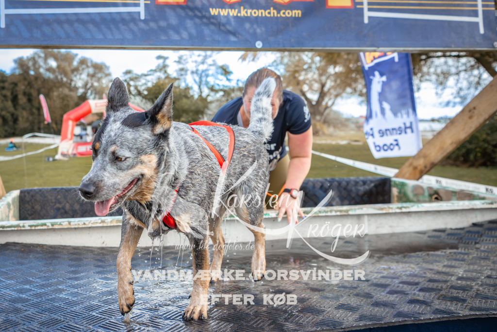 1509_ZZ96078 | kk-dogfotos