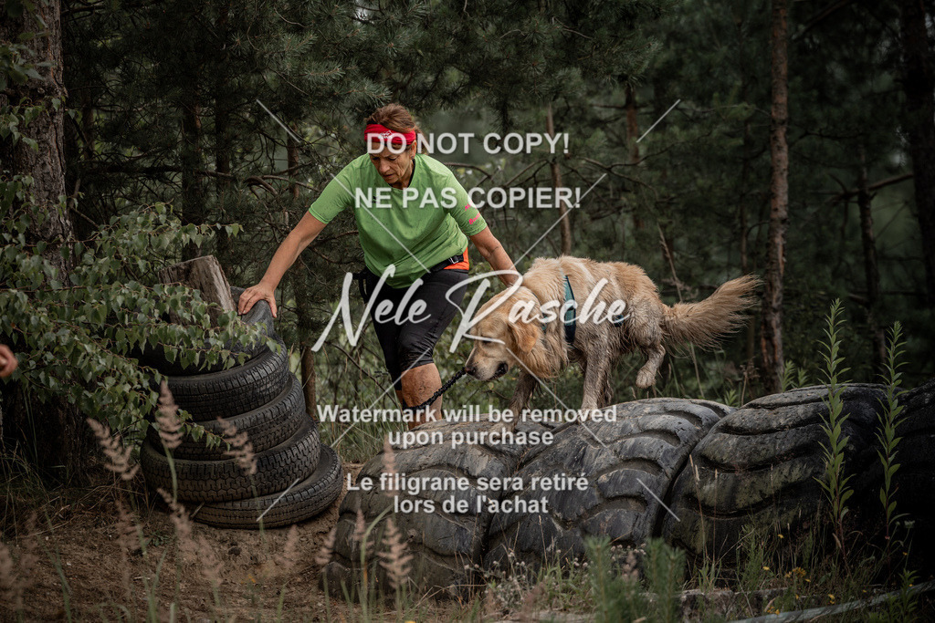 nelerasche_sa1100-1200_155 | nelerasche