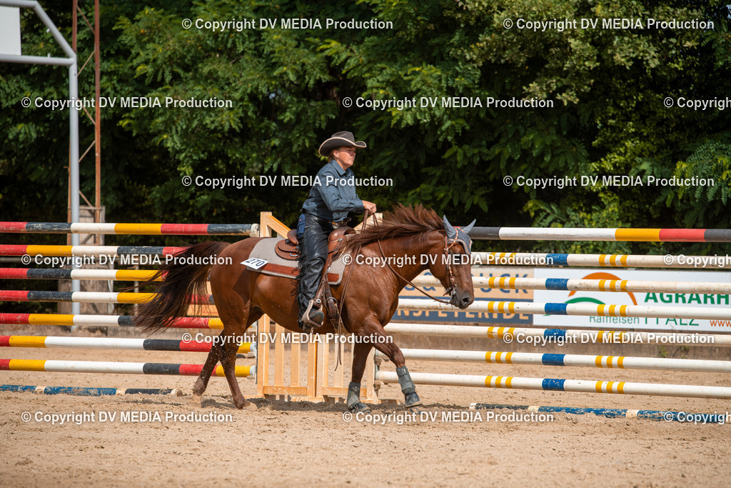 EWP_5964 | dv-media-shop - Realisiert mit Pictrs.com